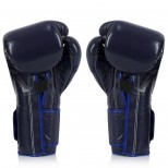 Перчатки боксерские Fairtex (BGV-9 Mexican Style Blue)